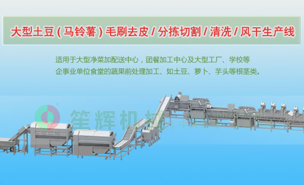 澄城连续式土豆去皮清洗切割风干生产线